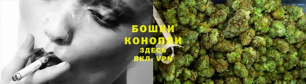 хмурый Белокуриха