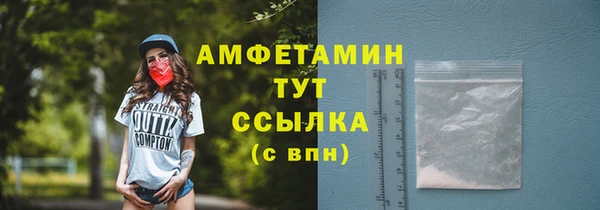 хмурый Белокуриха