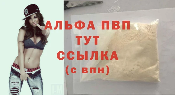 хмурый Белокуриха