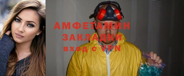 хмурый Белокуриха