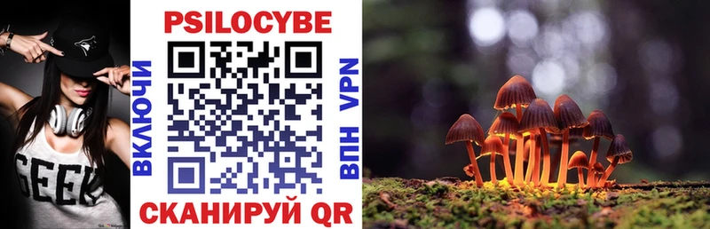 Купить где  Асино  Галлюциногенные грибы GOLDEN TEACHER 
