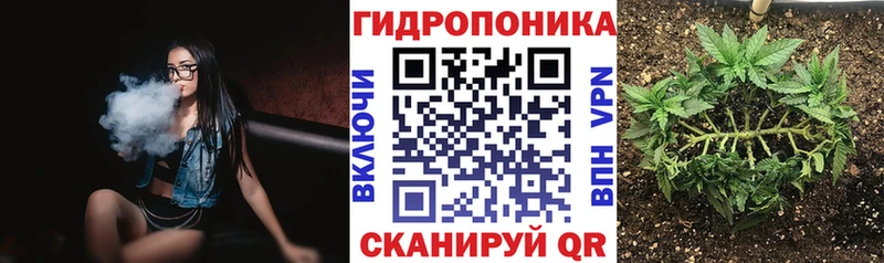 Конопля ГИДРОПОН  Купить где  Асино 